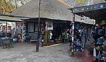 Photo 4 Lion Safari and Cultural Village Experience from Johannesburg