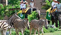 Photo 3 Bali Safari Jungle Hopper Experience with Safari Tram