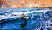 Photo 3 Halbtägige Luxus-Yachtcharter Privat-Tour