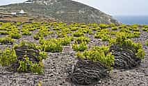 Photo 3 Winery – Oia Sunset Private Tour