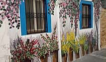 Photo 4 Independent Day trip to Bodrum