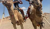 Photo 4 Quad bikes in Hurghada for 3 hours: desert, Bedouins, and camels.