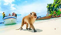 Photo 3 Phi Phi Island: Sunset Deluxe Speedboat Tour