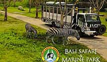 Photo 4 Bali Safari Jungle Hopper Experience with Safari Tram