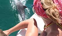Photo 4 Dolphin Watching in the Wild - Half Day 