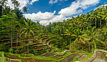 Photo 3 E-bike Ubud to Tegalalang Trip