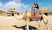 Photo 4 3-hour Desert Safari Quad Bike and Camel Ride in Hurghada