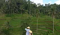 Photo 3 Best of Bali Jungle Swing with Ubud Sightseeing Tour