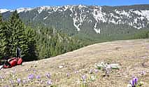 Photo 4 Piatra Craiului National Park Private Hiking Tour from Brasov