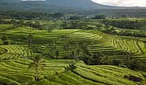 Photo 4 Romantic Bali Full-day Tour
