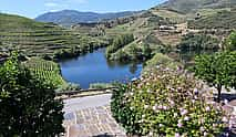 Photo 4 Douro Valley Wine Tour with 2 Wineries, Lunch and River Cruise