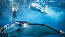 Photo 4 Nusa Penida Snorkeling Adventure