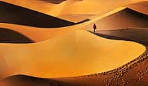 Фото 3 Частное сафари по пустыне Лива на целый день