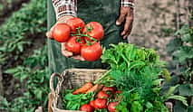 Photo 4 Private Agricaltural Tour: a  Day at the Corfu Farm