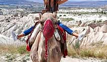 Foto 4 Divertida excursión en camello a cualquier hora