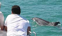 Photo 3 Sailboat Ride in Sado River and Atlantic Ocean - Half Day