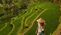 Foto 3 Ubud Temples, Waterfalls, Rice Terraces & Balinese Culture