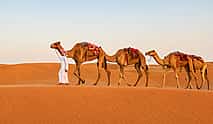 Photo 3 Private Qatar Desert Safari in Doha | Inland Sea, Camel Ride & Dune Bashing
