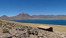 Photo 4 San Pedro de Atacama, Altiplanic Lagoons and Piedras Rojas - Full day