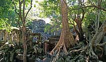 Photo 3 Private One Day Adventure to Beng Mealea and Kompong Khleang