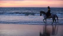 Photo 4 Tangier Mountain and Sea Horseback Riding Adventure