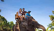 Photo 4 An Unforgettable Elephant Ride at Bali Zoo