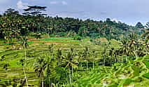 Photo 4 Off the Beaten Track with VW Safari