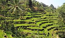Photo 4 Visit Ubud & The spectacular Batuan Temple