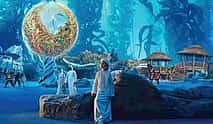 Photo 4 Abu Dhabi City Tour with Grand Mosque & SeaWorld Entrance Tickets with Private Transfers