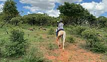 Photo 4 Elephant enrichment, Horseback Safari & Lion Exploration Tour