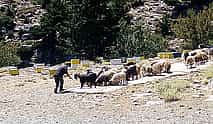 Photo 4 CHQ04. Private Tour to Cretan Villages of Apokoronas and Prophet Ilias
