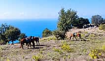 Photo 3 Horse Riding Safari Tour in Alanya