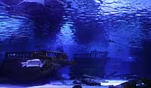 Photo 3 Antalya Aquarium with Shuttle from Kemer