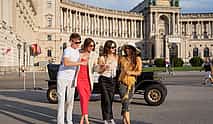 Photo 4 Vienna City Tour and Gourmet Dinner in a Classic Old-timer