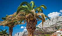 Photo 4 Private Transfer from Makarska to Dubrovnik with 2h Sightseeing, local driver