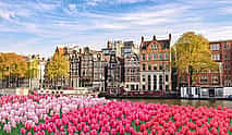 Photo 3 Private transfer from Paris to Amsterdam, 2h Stop in Brussels
