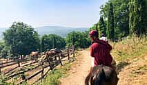 Photo 4 Tuscan Hills Horseback Riding Tour from Siena