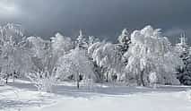 Photo 4 Rambling in Transylvania