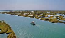 Photo 4 Discover Faro's Beauty: 1-hour Ria Formosa Eco Tour – Solar-Powered Tranquility in a Natural Park