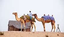 Foto 4 Private tour from Abu Dhabi to Dubai with a 6 hour stop