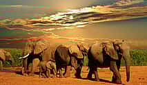 Photo 3 Half-day Afternoon Safari at Aquila Game Reserve from Cape Town