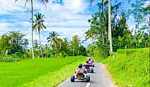Photo 3 Jungle Cart Ubud: Real-Life Mario Kart Gravity Adventure