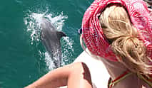 Photo 3 Dolphin watching in the wild