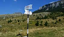 Photo 4 4-Day Carpathian Trek: Bucegi Mountains and Piatra Craiului National Park