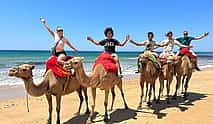 Photo 4 City Break Tangier for cruisers 