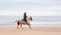 Photo 3 Seaside Horse Riding 60 minutes
