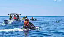 Photo 4 Dolphin Watching Boat Trip in Djerba – 2-Hour Sea Adventure