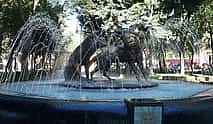 Photo 3 Xochimilco, Coyoacan and Frida Kahlo Museum Tour
