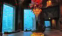 Photo 3 Atlantis Aquaventure Water Park & Lost Chambers Tour with Private Transfers