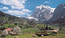 Фото 3 Grindelwald and Interlaken Day Trip